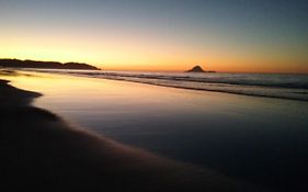 Ohope Lifestyles